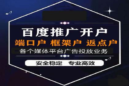 成功SEM托管代运营案例分析